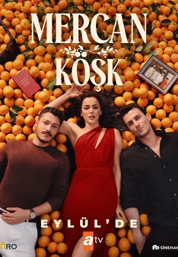 Коралловый дворец турецкий сериал на русском бесплатно смотреть онлайн все серии